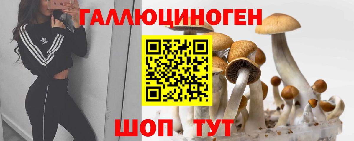 Ликино-Дулёво  Галлюциногенные грибы GOLDEN TEACHER  Вход с VPN 